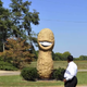 Illustration for article titled I've Eaten 170,000 Honey Roasted Peanuts Since March